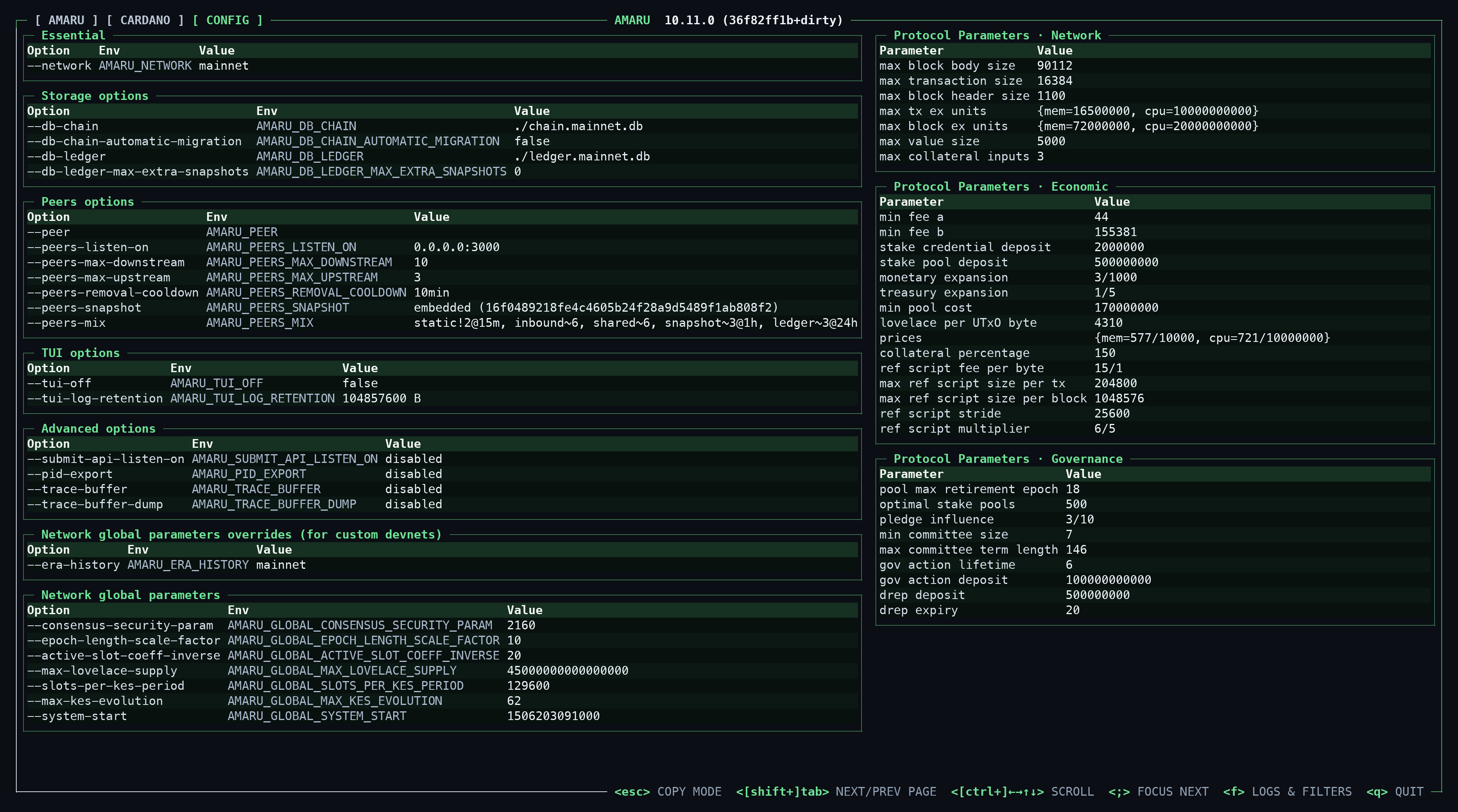 Amaru TUI Config page